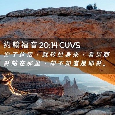 Picture 02 - 约 翰 福 音 20:14 CUVS - 说 了 这 话 ， 就 转 过 身 来 ， 看 - Bible Verse Picture