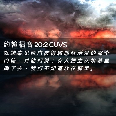 Picture 02 - 约 翰 福 音 20:2 CUVS - 就 跑 来 见 西 门 彼 得 和 耶 稣 所 - Bible Verse Picture