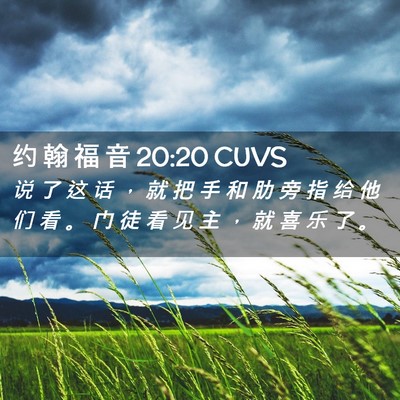 Picture 02 - 约 翰 福 音 20:20 CUVS - 说 了 这 话 ， 就 把 手 和 肋 旁 指 - Bible Verse Picture