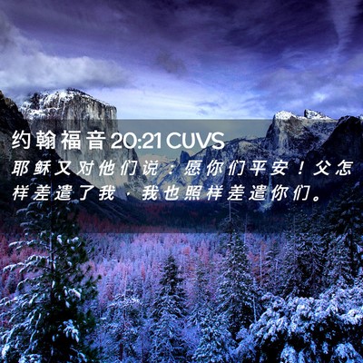 Picture 02 - 约 翰 福 音 20:21 CUVS - 耶 稣 又 对 他 们 说 ： 愿 你 们 平 - Bible Verse Picture