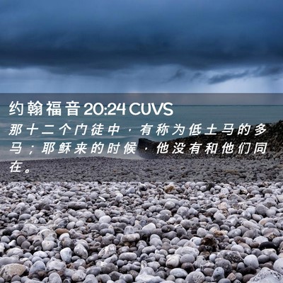Picture 02 - 约 翰 福 音 20:24 CUVS - 那 十 二 个 门 徒 中 ， 有 称 为 低 - Bible Verse Picture