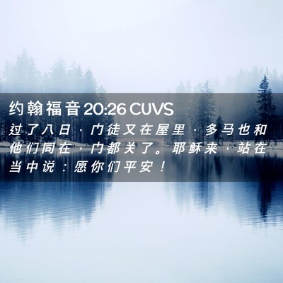 Picture 02 - 约 翰 福 音 20:26 CUVS - 过 了 八 日 ， 门 徒 又 在 屋 里 ， - Bible Verse Picture