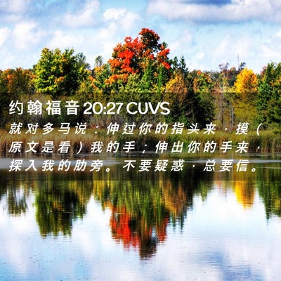 Picture 02 - 约 翰 福 音 20:27 CUVS - 就 对 多 马 说 ： 伸 过 你 的 指 头 - Bible Verse Picture
