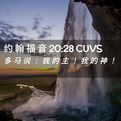 Picture 02 - 约 翰 福 音 20:28 CUVS - 多 马 说 ： 我 的 主 ！ 我 的 神 - Bible Verse Picture