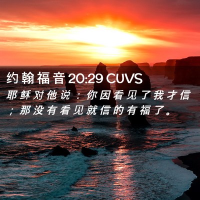 Picture 02 - 约 翰 福 音 20:29 CUVS - 耶 稣 对 他 说 ： 你 因 看 见 了 我 - Bible Verse Picture