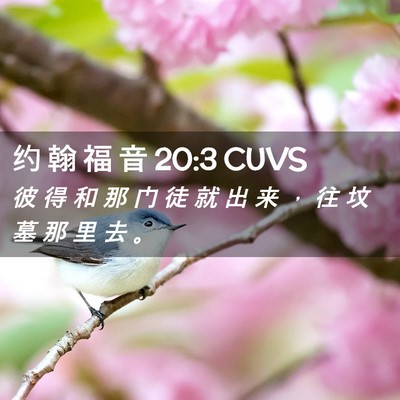 Picture 02 - 约 翰 福 音 20:3 CUVS - 彼 得 和 那 门 徒 就 出 来 ， 往 坟 - Bible Verse Picture