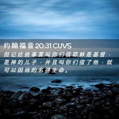 Picture 02 - 约 翰 福 音 20:31 CUVS - 但 记 这 些 事 要 叫 你 们 信 耶 稣 - Bible Verse Picture