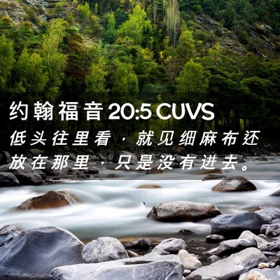 Picture 02 - 约 翰 福 音 20:5 CUVS - 低 头 往 里 看 ， 就 见 细 麻 布 还 - Bible Verse Picture