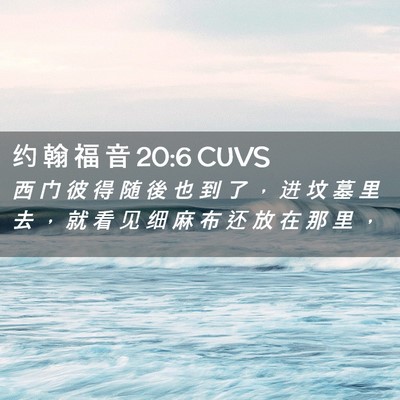 Picture 02 - 约 翰 福 音 20:6 CUVS - 西 门 彼 得 随 後 也 到 了 ， 进 坟 - Bible Verse Picture