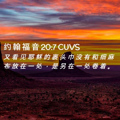 Picture 02 - 约 翰 福 音 20:7 CUVS - 又 看 见 耶 稣 的 裹 头 巾 没 有 和 - Bible Verse Picture