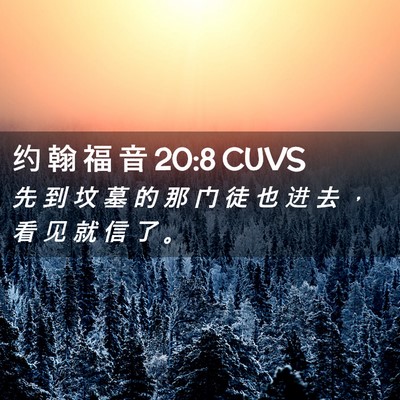 Picture 02 - 约 翰 福 音 20:8 CUVS - 先 到 坟 墓 的 那 门 徒 也 进 去 ， - Bible Verse Picture