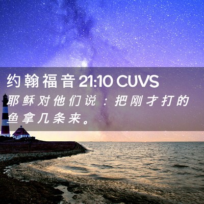 Picture 02 - 约 翰 福 音 21:10 CUVS - 耶 稣 对 他 们 说 ： 把 刚 才 打 的 - Bible Verse Picture