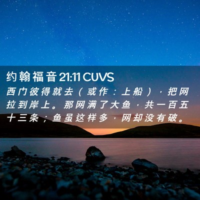 Picture 02 - 约 翰 福 音 21:11 CUVS - 西 门 彼 得 就 去 （ 或 作 ： 上 船 - Bible Verse Picture