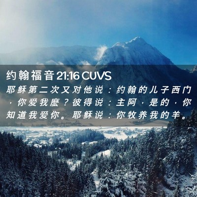 Picture 02 - 约 翰 福 音 21:16 CUVS - 耶 稣 第 二 次 又 对 他 说 ： 约 翰 - Bible Verse Picture