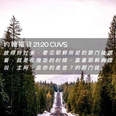 Picture 02 - 约 翰 福 音 21:20 CUVS - 彼 得 转 过 来 ， 看 见 耶 稣 所 爱 - Bible Verse Picture