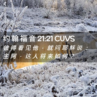 Picture 02 - 约 翰 福 音 21:21 CUVS - 彼 得 看 见 他 ， 就 问 耶 稣 说 ： - Bible Verse Picture