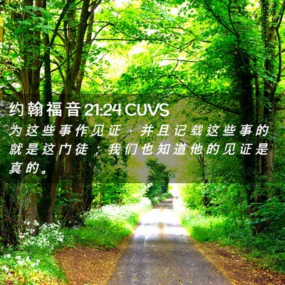 Picture 02 - 约 翰 福 音 21:24 CUVS - 为 这 些 事 作 见 证 ， 并 且 记 载 - Bible Verse Picture