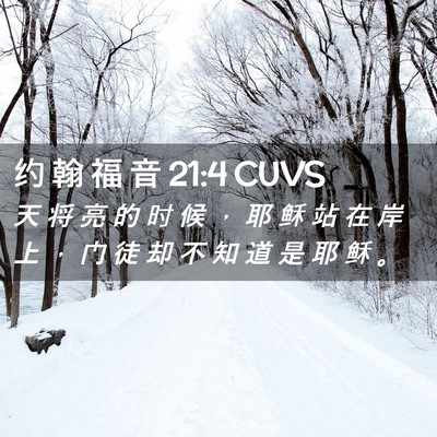Picture 02 - 约 翰 福 音 21:4 CUVS - 天 将 亮 的 时 候 ， 耶 稣 站 在 岸 - Bible Verse Picture