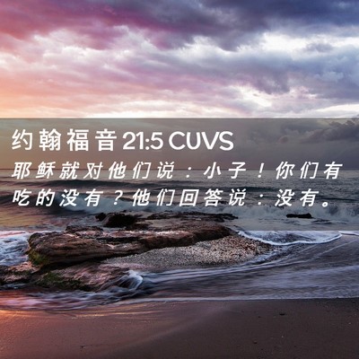 Picture 02 - 约 翰 福 音 21:5 CUVS - 耶 稣 就 对 他 们 说 ： 小 子 ！ 你 - Bible Verse Picture