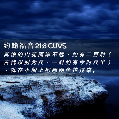 Picture 02 - 约 翰 福 音 21:8 CUVS - 其 馀 的 门 徒 离 岸 不 远 ， 约 有 - Bible Verse Picture