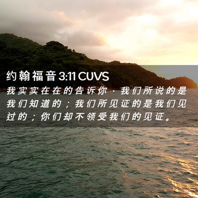 Picture 02 - 约 翰 福 音 3:11 CUVS - 我 实 实 在 在 的 告 诉 你 ， 我 们 - Bible Verse Picture