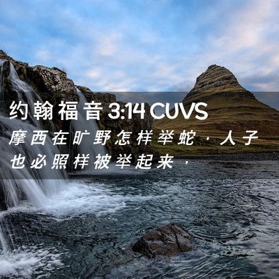 Picture 02 - 约 翰 福 音 3:14 CUVS - 摩 西 在 旷 野 怎 样 举 蛇 ， 人 子 - Bible Verse Picture