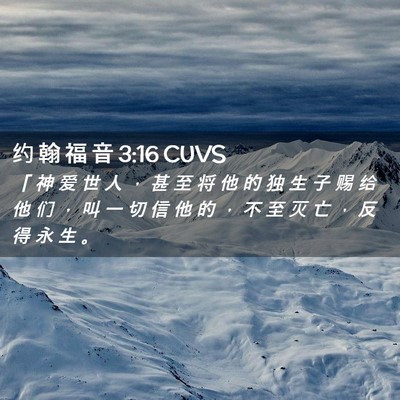 Picture 02 - 约 翰 福 音 3:16 CUVS - 「 神 爱 世 人 ， 甚 至 将 他 的 独 - Bible Verse Picture