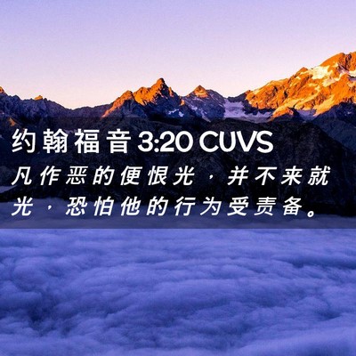 Picture 02 - 约 翰 福 音 3:20 CUVS - 凡 作 恶 的 便 恨 光 ， 并 不 来 就 - Bible Verse Picture