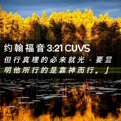 Picture 02 - 约 翰 福 音 3:21 CUVS - 但 行 真 理 的 必 来 就 光 ， 要 显 - Bible Verse Picture