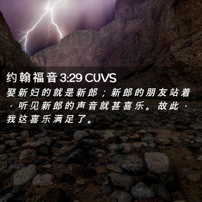 Picture 02 - 约 翰 福 音 3:29 CUVS - 娶 新 妇 的 就 是 新 郎 ； 新 郎 的 - Bible Verse Picture