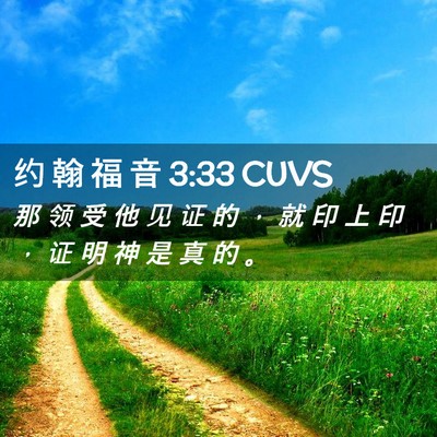 Picture 02 - 约 翰 福 音 3:33 CUVS - 那 领 受 他 见 证 的 ， 就 印 上 印 - Bible Verse Picture