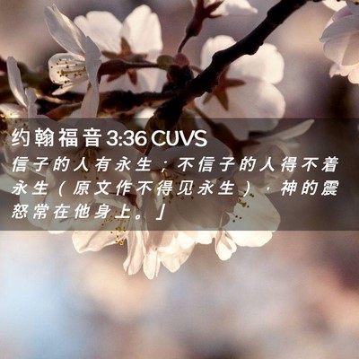 Picture 02 - 约 翰 福 音 3:36 CUVS - 信 子 的 人 有 永 生 ； 不 信 子 的 - Bible Verse Picture
