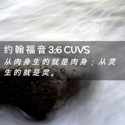 Picture 02 - 约 翰 福 音 3:6 CUVS - 从 肉 身 生 的 就 是 肉 身 ； 从 灵 - Bible Verse Picture