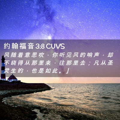 Picture 02 - 约 翰 福 音 3:8 CUVS - 风 随 着 意 思 吹 ， 你 听 见 风 的 - Bible Verse Picture