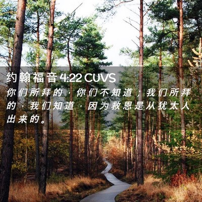 Picture 02 - 约 翰 福 音 4:22 CUVS - 你 们 所 拜 的 ， 你 们 不 知 道 ； - Bible Verse Picture