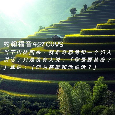 Picture 02 - 约 翰 福 音 4:27 CUVS - 当 下 门 徒 回 来 ， 就 希 奇 耶 稣 - Bible Verse Picture