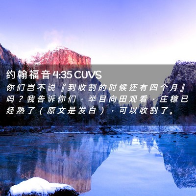 Picture 02 - 约 翰 福 音 4:35 CUVS - 你 们 岂 不 说 『 到 收 割 的 时 候 - Bible Verse Picture