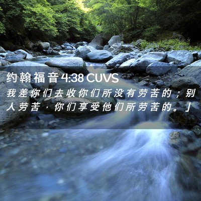 Picture 02 - 约 翰 福 音 4:38 CUVS - 我 差 你 们 去 收 你 们 所 没 有 劳 - Bible Verse Picture