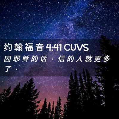 Picture 02 - 约 翰 福 音 4:41 CUVS - 因 耶 稣 的 话 ， 信 的 人 就 更 多 - Bible Verse Picture