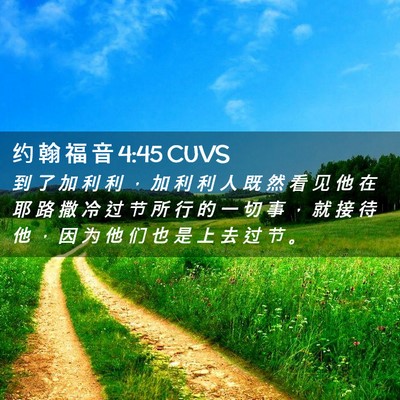 Picture 02 - 约 翰 福 音 4:45 CUVS - 到 了 加 利 利 ， 加 利 利 人 既 然 - Bible Verse Picture