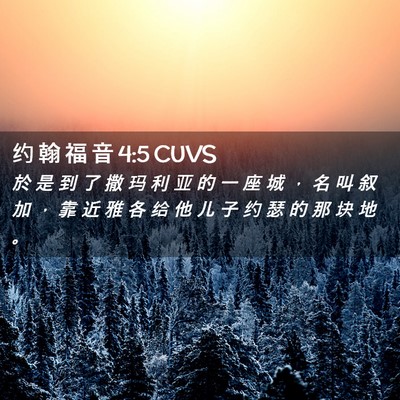 Picture 02 - 约 翰 福 音 4:5 CUVS - 於 是 到 了 撒 玛 利 亚 的 一 座 城 - Bible Verse Picture