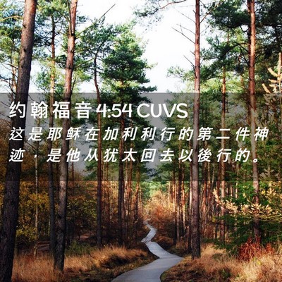 Picture 02 - 约 翰 福 音 4:54 CUVS - 这 是 耶 稣 在 加 利 利 行 的 第 二 - Bible Verse Picture