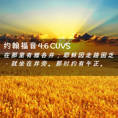 Picture 02 - 约 翰 福 音 4:6 CUVS - 在 那 里 有 雅 各 井 ； 耶 稣 因 走 - Bible Verse Picture