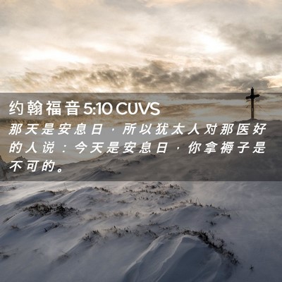 Picture 02 - 约 翰 福 音 5:10 CUVS - 那 天 是 安 息 日 ， 所 以 犹 太 人 - Bible Verse Picture