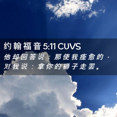 Picture 02 - 约 翰 福 音 5:11 CUVS - 他 却 回 答 说 ： 那 使 我 痊 愈 的 - Bible Verse Picture