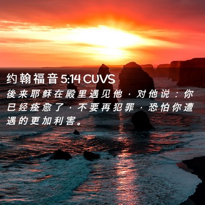 Picture 02 - 约 翰 福 音 5:14 CUVS - 後 来 耶 稣 在 殿 里 遇 见 他 ， 对 - Bible Verse Picture