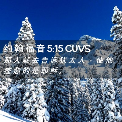 Picture 02 - 约 翰 福 音 5:15 CUVS - 那 人 就 去 告 诉 犹 太 人 ， 使 他 - Bible Verse Picture