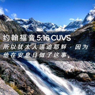 Picture 02 - 约 翰 福 音 5:16 CUVS - 所 以 犹 太 人 逼 迫 耶 稣 ， 因 为 - Bible Verse Picture