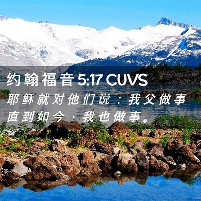Picture 02 - 约 翰 福 音 5:17 CUVS - 耶 稣 就 对 他 们 说 ： 我 父 做 事 - Bible Verse Picture