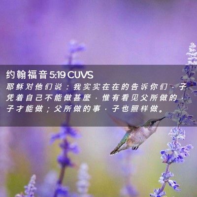 Picture 02 - 约 翰 福 音 5:19 CUVS - 耶 稣 对 他 们 说 ： 我 实 实 在 在 - Bible Verse Picture